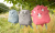 f46605890ff2ddff6182b6b79e632b2b.png